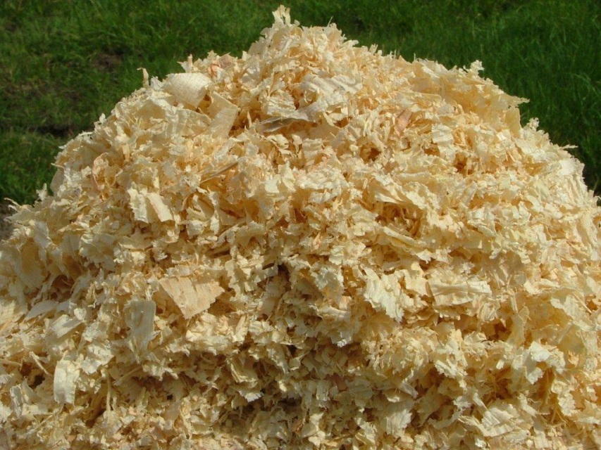 Shavings - delivered to your stall